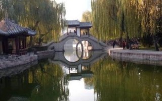 通达网络官网—打造智能互联的高效桥梁