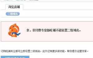 如何设置附加域名的二级域名
