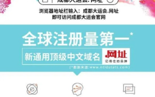 SG域名注册问题详解，从入门到精通