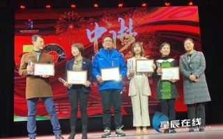 星辰网络科技有限公司稳定性的深度剖析与行业观察
