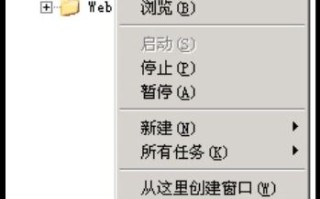 IIS为什么用域名就能打开网站用IP就打不开
