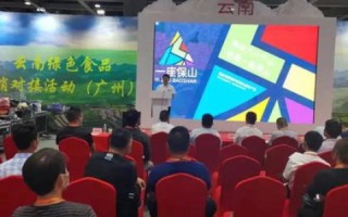 解锁靠谱云的深度体验，一名老用户的详尽使用指南与心得分享