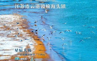 海洋科技，探索蓝色疆界的智慧之舟