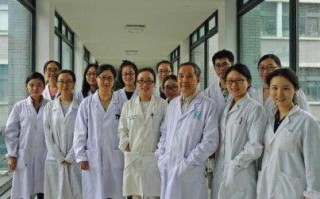 深度解析，上海建站服务中心的优质服务与专业实力