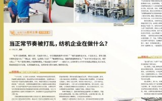 探索真如互联，重塑未来数字生活的蓝图