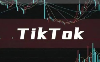 TK域名在国内的困境与未来展望