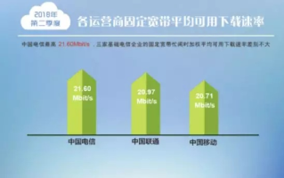 中国迅牛网络评测，解析高速稳定网络服务的背后