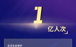 网硕互联，稳定基石下的数字时代新篇章