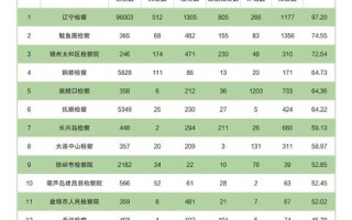 探索辽宁互联网使用的实践与实际效应