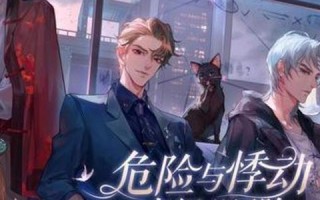 有过实际使用经验的中国双线网络技术分析及其意义