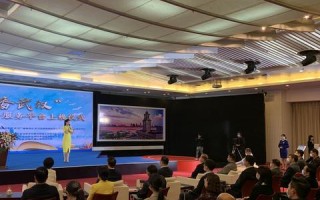 矩阵互联官网，构建数字世界的桥梁