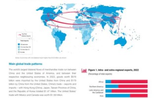 世界上每个国家和地区都有唯一的一级域名，现实与挑战
