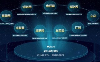 睿动互联，重塑数字时代的企业智慧引擎