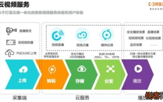 探索T网云的奇妙之旅，用户体验、功能揭秘与安全性考量