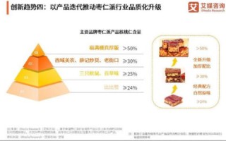 至强网络，探究其优势与用户体验的深度剖析