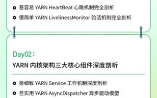 六三网络使用经验分享，一位普通用户的深度体验与剖析