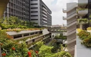 绿化生存空间，打造绿色生活品质