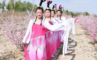 探索天寻网络，服务、技术及行业影响力剖析