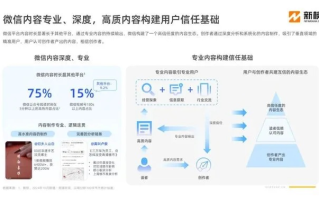 河岸边，探索多域名策略下的品牌建设与用户体验