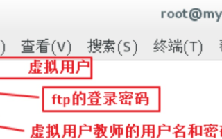FTP服务器的域名或IP地址，解析与实战应用