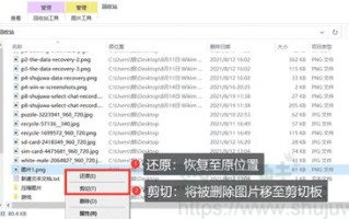 域名到期后多久被删除，详解域名生命周期与续期策略
