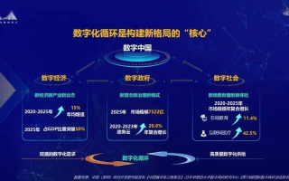 三百云，引领数字化时代的创新服务提供商