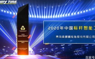 领拓云，引领企业数字化转型的新标杆