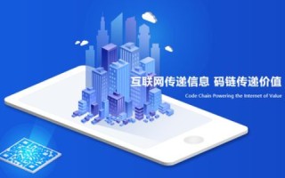 新众互联评测，重塑数字时代的连接与互动