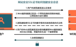 构建安全高效的网站，从空间域名选择到后期维护的全面指南