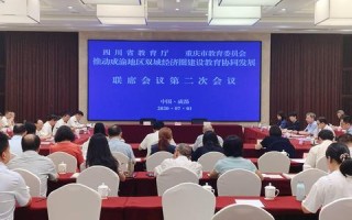 天府快车稳定性解析，技术与运营并重，打造高效城市出行