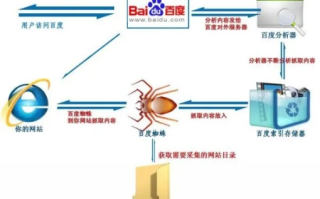 揭秘百度收录机制，为何同一网站两个域名仅收录其一？