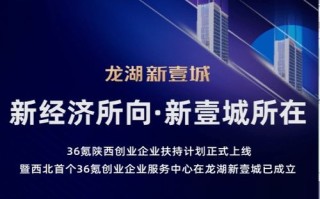 风易在线，引领数字时代的创新服务先锋