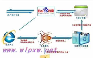 靠最网背后的秘密，解锁全网资源的高效搜索引擎