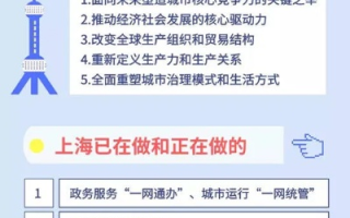 上海数据，数字化转型与智慧城市建设的典范