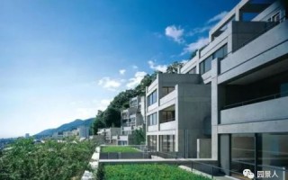 韩美合租，探索跨文化居住的稳定之道