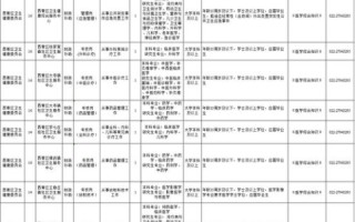 域名www.net592.com的价值与潜力分析