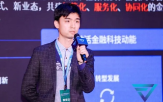 金咏网络，探索其应用前景与用户体验