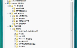 花生壳注册域名IIS配置为什么测试禁止访问