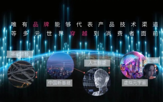 睿虎网络，重塑数字时代的网络新生态