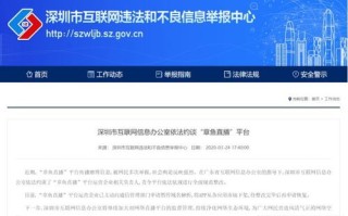 打开主页就显示域名纠错系统，提升用户体验与网络安全的新篇章
