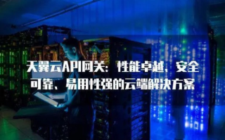 网络服务的稳定守护者，天寻网络的稳定性能探究