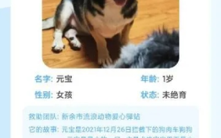 狗云官网，探索宠爱世界的无限可能