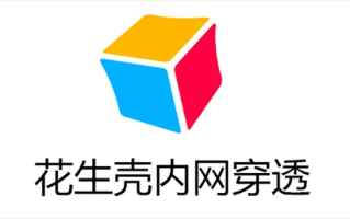 如何在个人笔记本电脑局域网内通过花生壳域名访问本机服务
