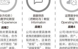 中国IDC空间网，探索数字化转型的新蓝海