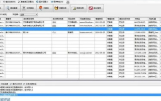 过期域名批量查询工具，高效、精准，助你抢占先机