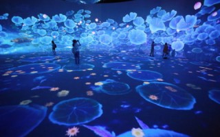 彩米云体验报告，数字化办公新体验
