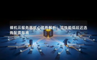 心网主机，解析新时代网络服务中心的优选之道