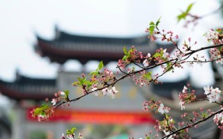 帮我看看这个免费云主机靠谱不，一场关于免费云主机的深度剖析