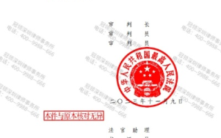 德意控股集团有限公司与陈维强计算机网络域名商标侵权纠纷案，一场知识产权的较量