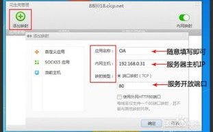 内网穿透的动态域名解析，安全隐患与防范措施